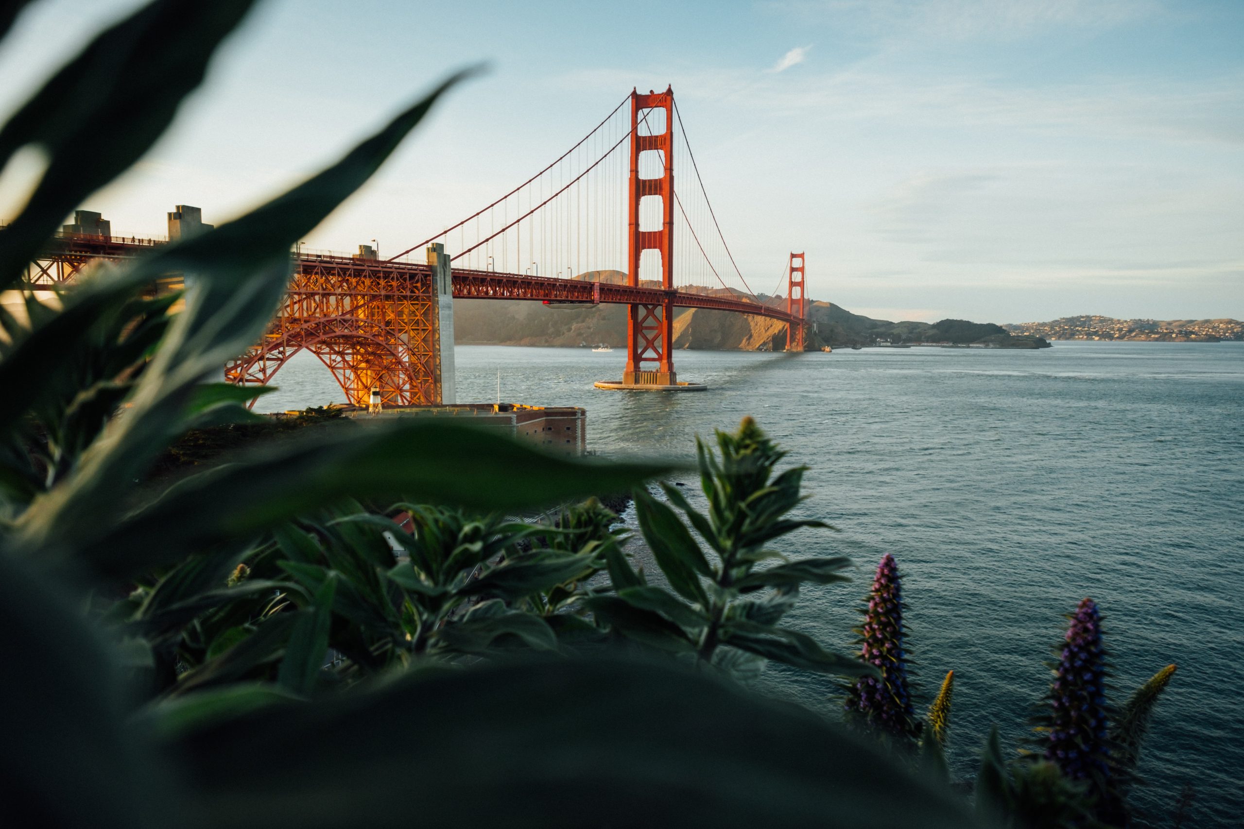 AKASF (San Francisco – US)